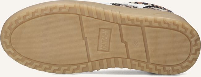 NOTRE-V ANEMONE-63 NOTRE-V ANEMONE-63 - large