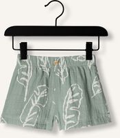 PLAY UP Pantalon courte PRINTED WOVEN SHORTS B en vert PLAY UP Pantalon courte PRINTED WOVEN SHORTS B en vert - medium