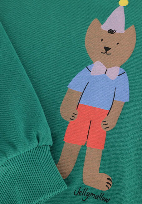 Donkergroene Jelly Mallow Sweater BIRTHDAY SWEATSHIRT Donkergroene Jelly Mallow Sweater BIRTHDAY SWEATSHIRT - large