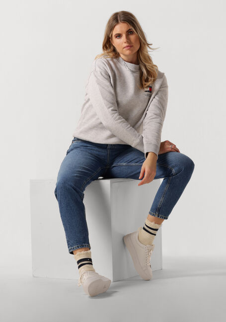 TOMMY JEANS Chandail TJW BXY GRAPHIC FLAG CREW en gris - large