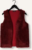 YDENCE Gilet GILET SASHA Bordeaux YDENCE Gilet GILET SASHA Bordeaux - medium