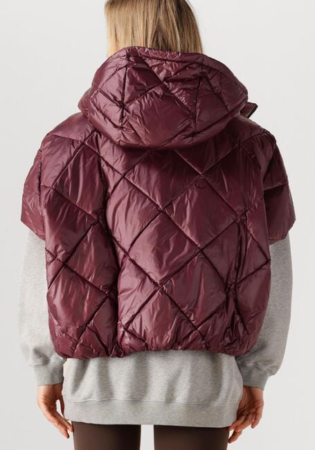 Bordeaux DEBLON SPORTS Gewatteerde jas STEVIE BODYWARMER - large