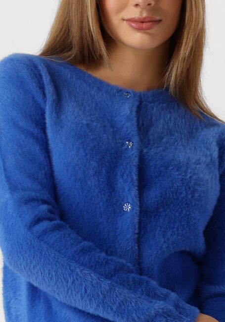 Blauwe FABIENNE CHAPOT Vest KATE CARDIGAN - large