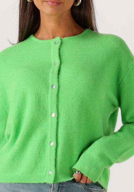 CIRCLE OF TRUST Gilet BODI CARDIGAN en vert - large