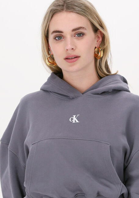CALVIN KLEIN Chandail BACK TWO TONE MONOGRAM HOODIE en gris - large