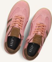 HIP H1511 HIP H1511 - medium