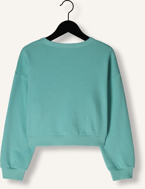 Blauwe AMMEHOELA Sweater YARA Blauwe AMMEHOELA Sweater YARA - large