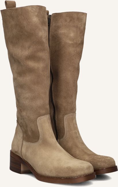 BLASZ 2167 BLASZ 2167 - large