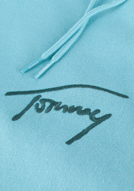 TOMMY JEANS Chandail TJM SIGNATURE HOODIE Bleu clair - large