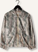 AMAYA AMSTERDAM Jack AUSTIN BOMBER en or AMAYA AMSTERDAM Jack AUSTIN BOMBER en or - medium