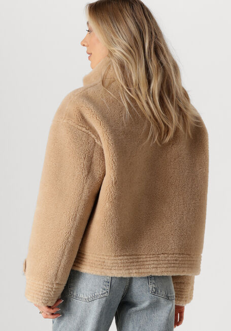 IBANA Jack CHRIS en camel - large