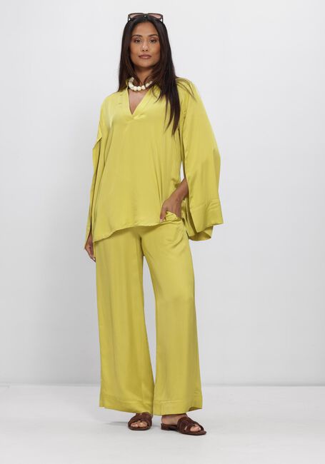 Groene NEMA  N017 - large