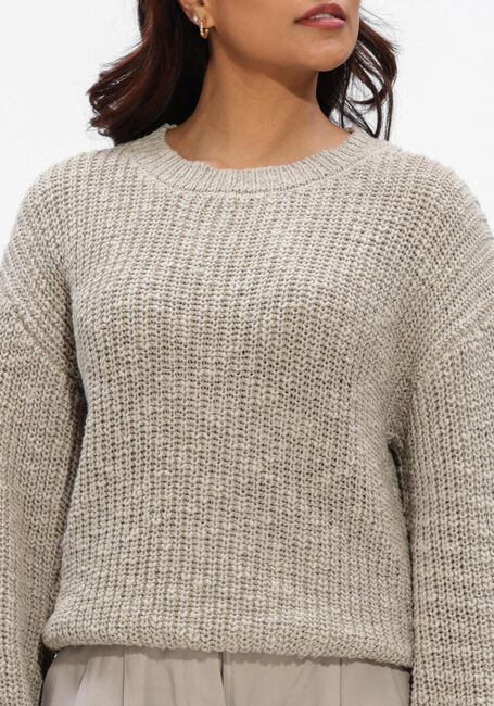 Grijze WITHBLACK Truien/vesten WBLSELENA LS PULLOVER - large