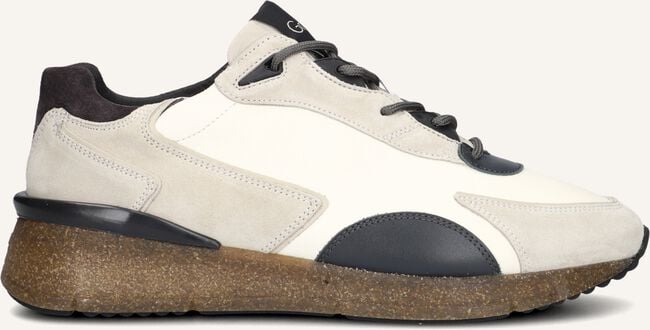 Bruine GREVE Sneakers WALKER H 7285 Bruine GREVE Sneakers WALKER H 7285 - large
