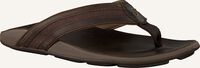 Bruine OLUKAI Teenslippers IKOI Bruine OLUKAI Teenslippers IKOI - medium