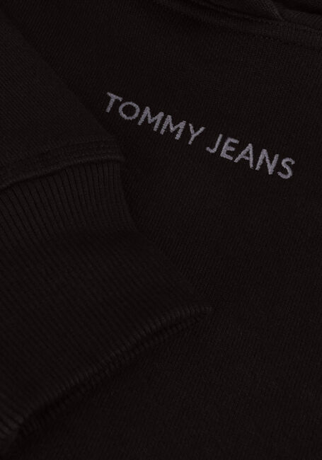 TOMMY JEANS Chandail TJW RLX SMALL CLASSIC HOODIE EXT en noir - large