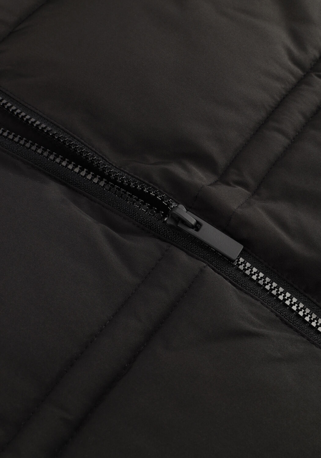 Zwarte MSCH COPENHAGEN Gewatteerde jas MSCHZALA PAVINARIA JACKET - large