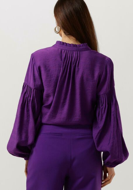 Paarse FREEBIRD  WV-SHINE-VIS-23-1 - large