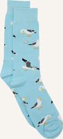Blauwe ALFREDO GONZALES Beenmode SEAGULL - medium