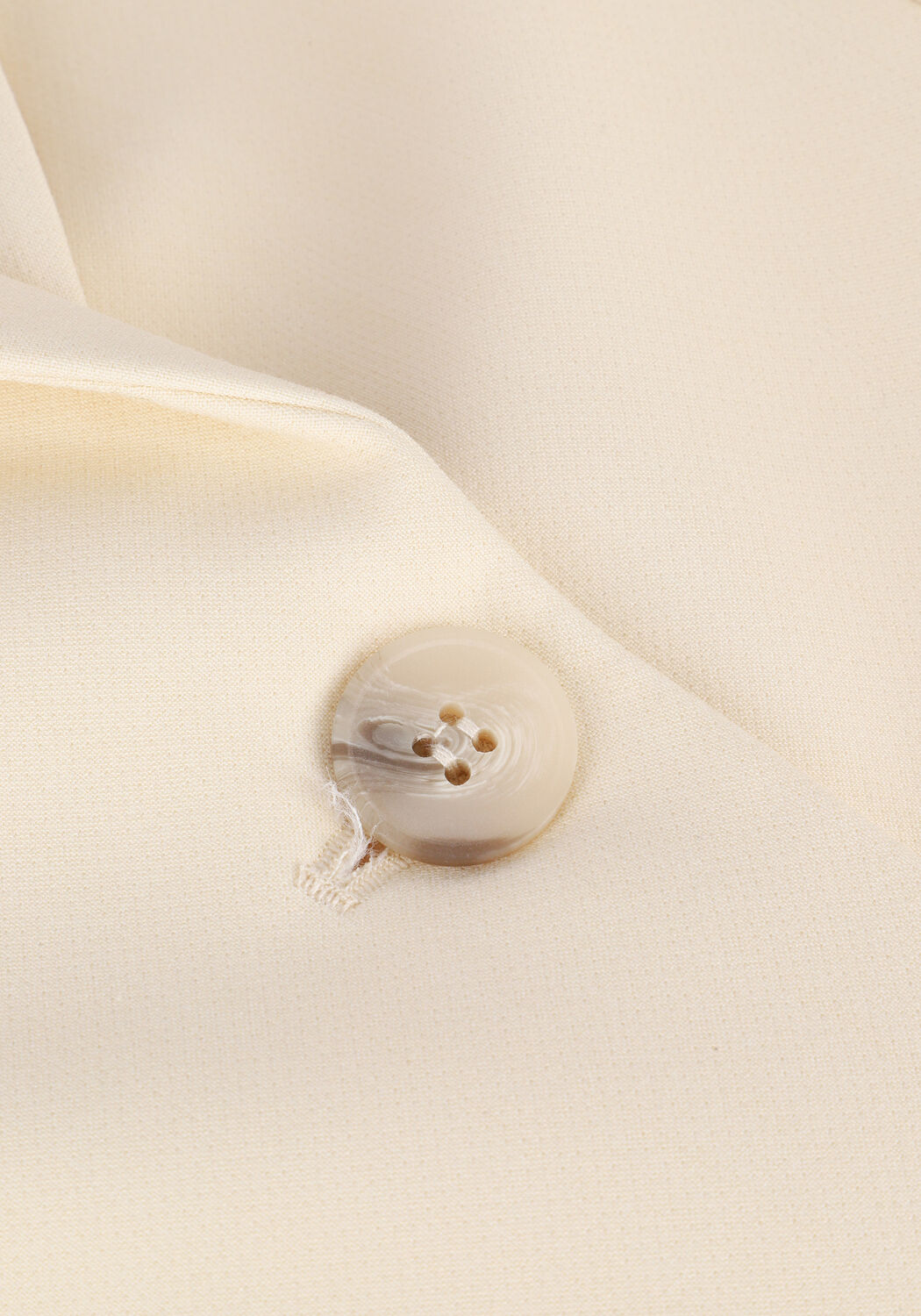 SELECTED WOMEN Blazer SLFRITA CLASSIC Sable - large