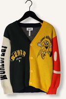 Multi MOLO Vest BURT Multi MOLO Vest BURT - medium