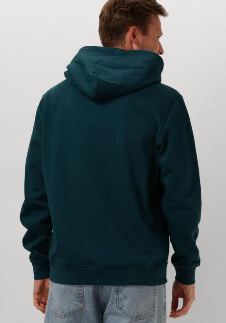 TOMMY JEANS TJM REG ESSENTIAL FLAG HOOD EXT Pulls & Gilets en vert - large