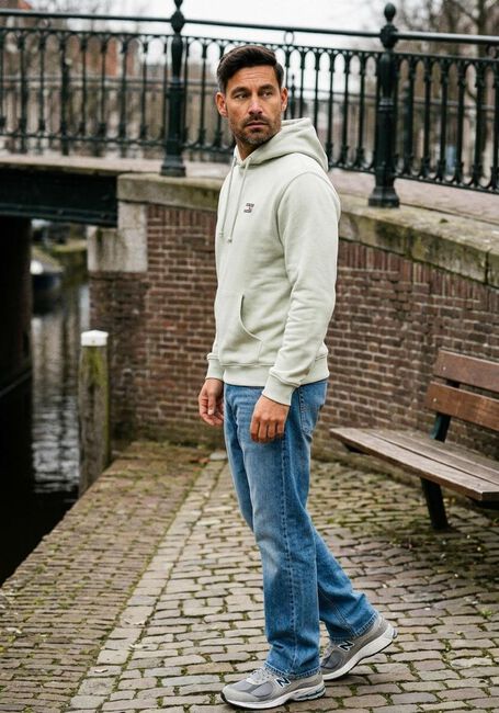 TOMMY JEANS Chandail TJM REG BADGE HOODIE EXT Menthe - large