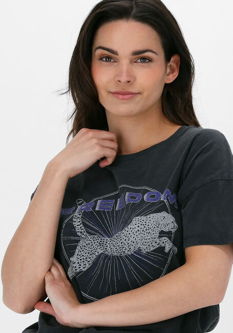 Grijze CATWALK JUNKIE T-shirt TS FREEDOM FIGHTER - large