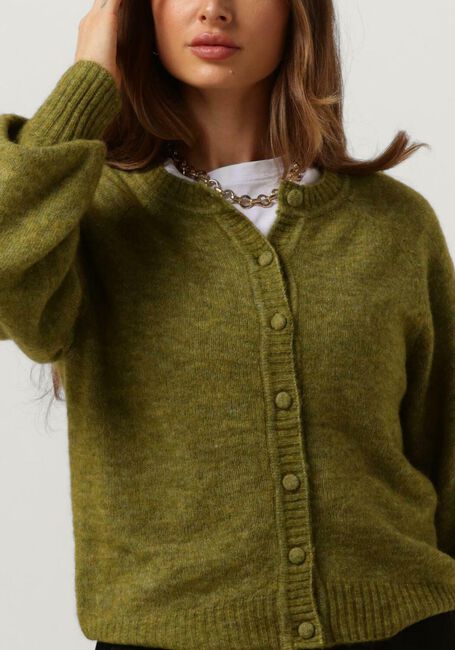 Groene MSCH COPENHAGEN Trui MSCHZASHA HOPE CARDIGAN - large