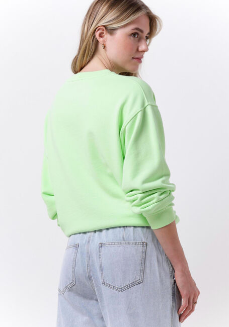 Groene CATWALK JUNKIE Trui SW HARVEST LOVE - large