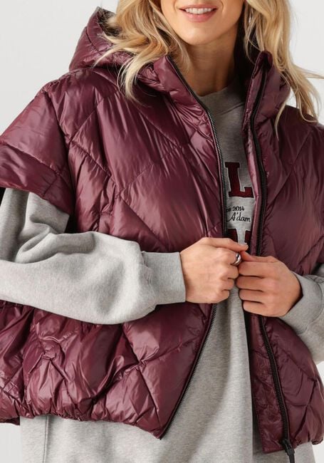 Bordeaux DEBLON SPORTS Gewatteerde jas STEVIE BODYWARMER - large