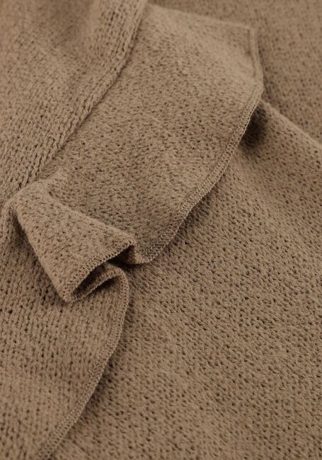 Taupe PLAY UP Trui JERSEY SWEATER G - large