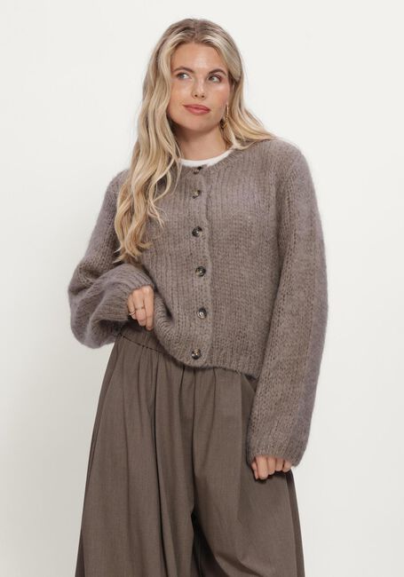 INWEAR Pull JETRAIW CARDIGAN en taupe - large