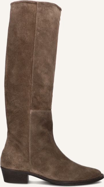 TORAL 12777 TORAL 12777 - large