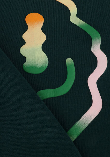 Donkergroene MOLO Sweater MAGNI Donkergroene MOLO Sweater MAGNI - large