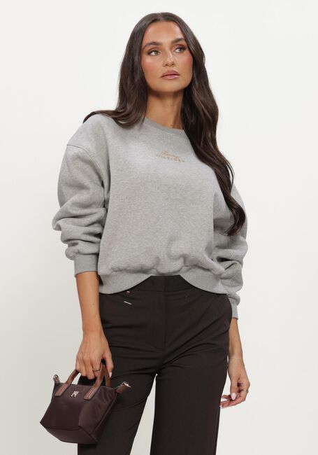 TOMMY HILFIGER Chandail GOLD SCRIPT FLEECE RLX C-NK SWT en gris - large