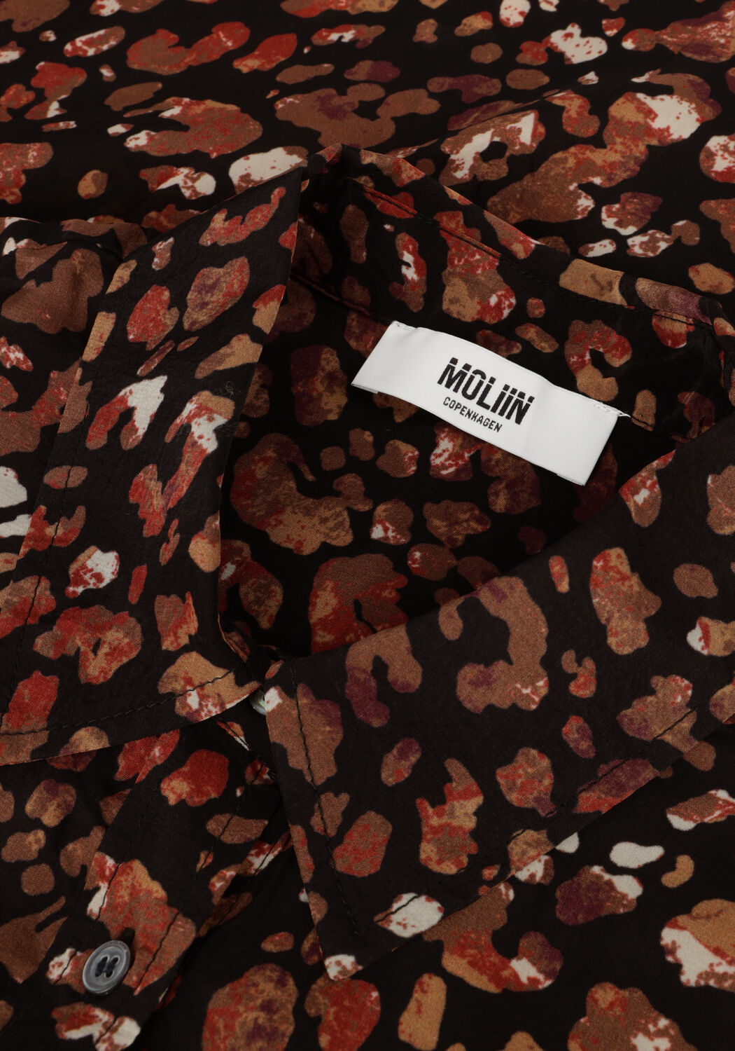 Bruine MOLIIN  NATHALIA - large