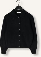 KNIT-TED DANNY KNIT-TED DANNY - medium
