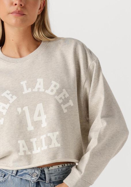 Lichtgrijze ALIX THE LABEL Trui LADIES KNITTED SOFT SWEATER - large