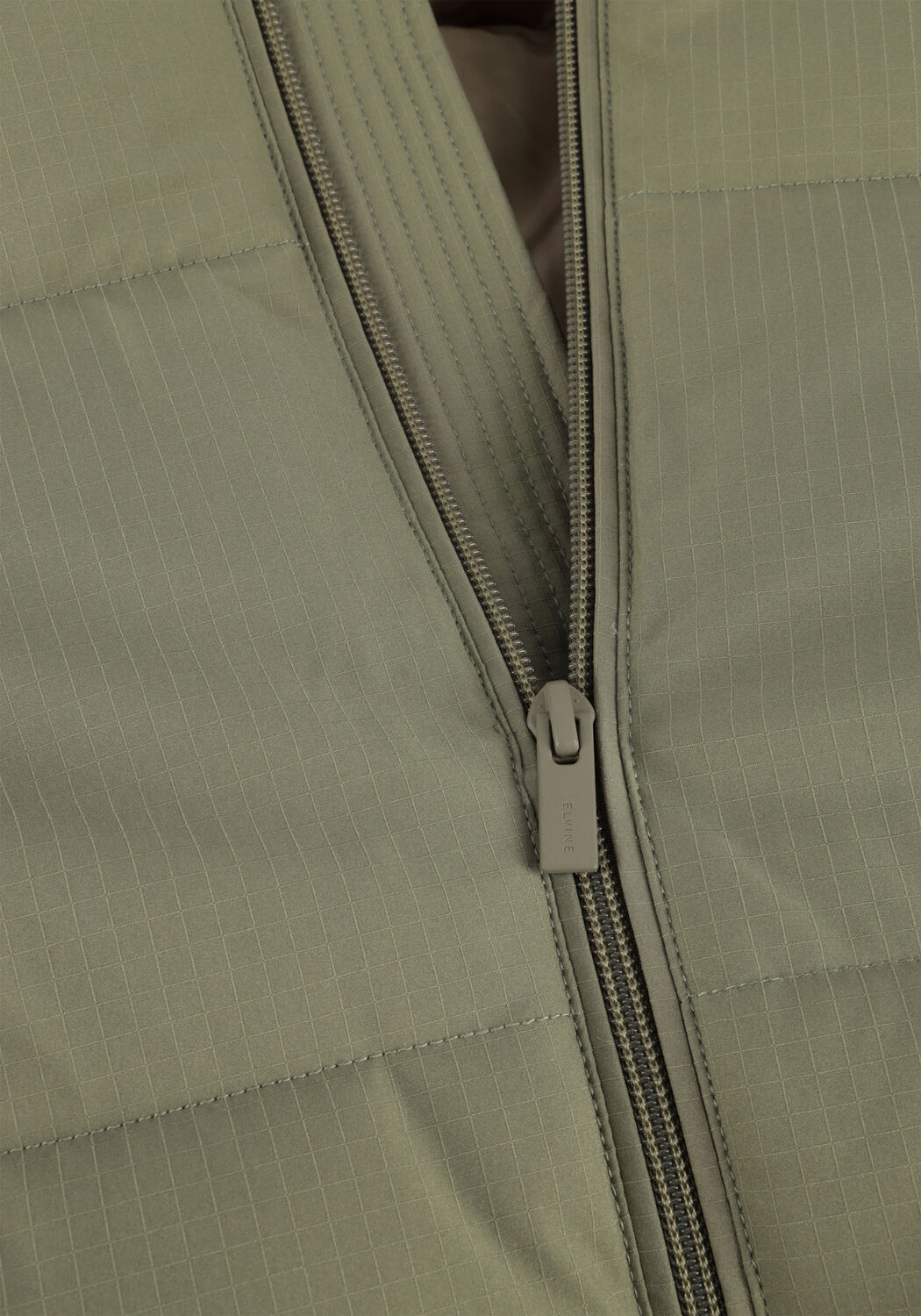 ELVINE BJARNE - large