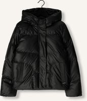 RAIZZED Veste matelassé TABITA Gris foncé RAIZZED Veste matelassé TABITA Gris foncé - medium