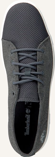 Grijze TIMBERLAND Lage sneakers AMHERST ALPINE KNIT Grijze TIMBERLAND Lage sneakers AMHERST ALPINE KNIT - large