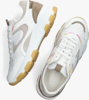 Witte PALPA Lage sneakers SKARA - medium