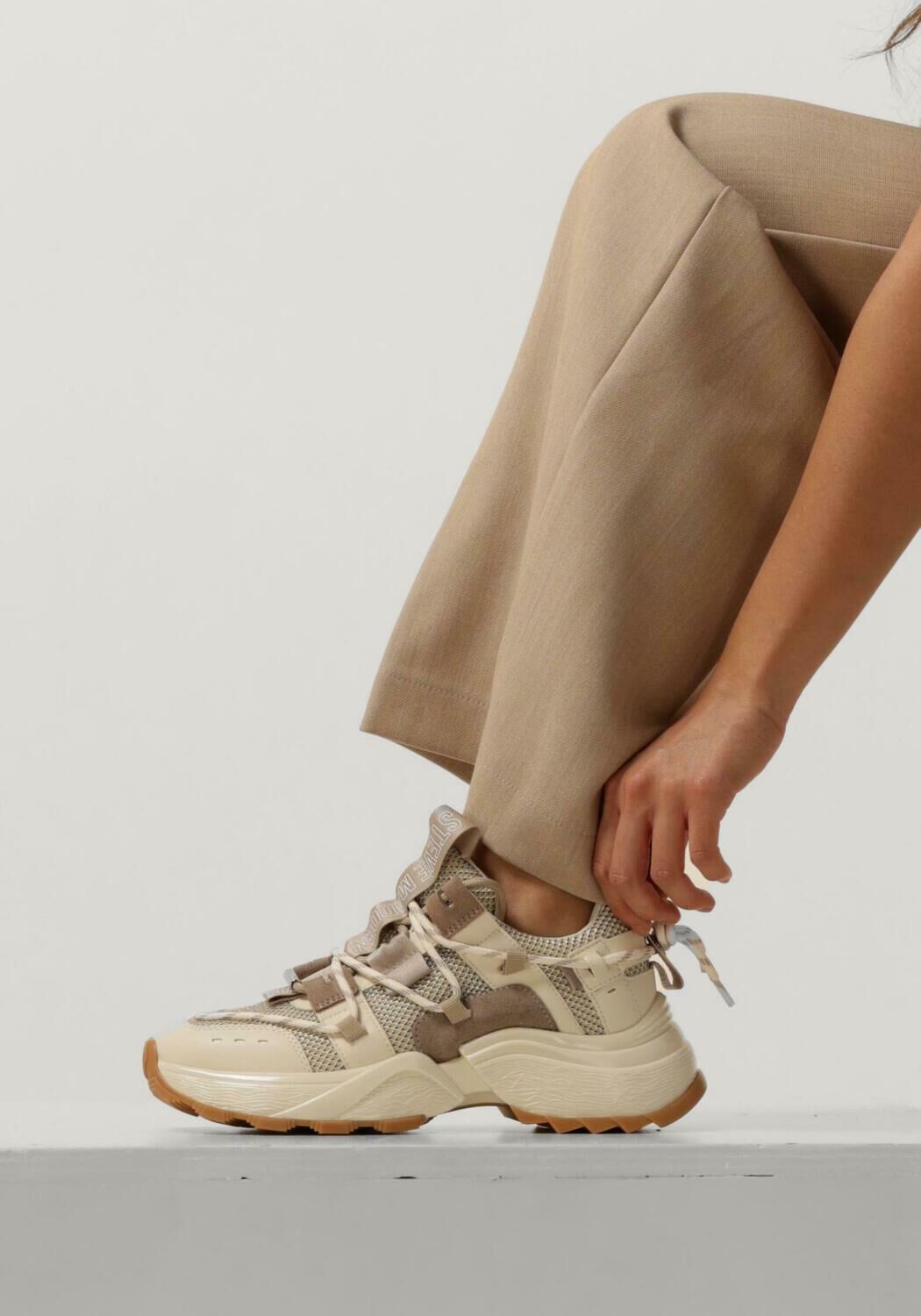 Bruine STEVE MADDEN Sneakers TAZMANIA - large