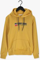 TOMMY JEANS Chandail TJM ENTRY ATHLETICS HOODIE Ocre