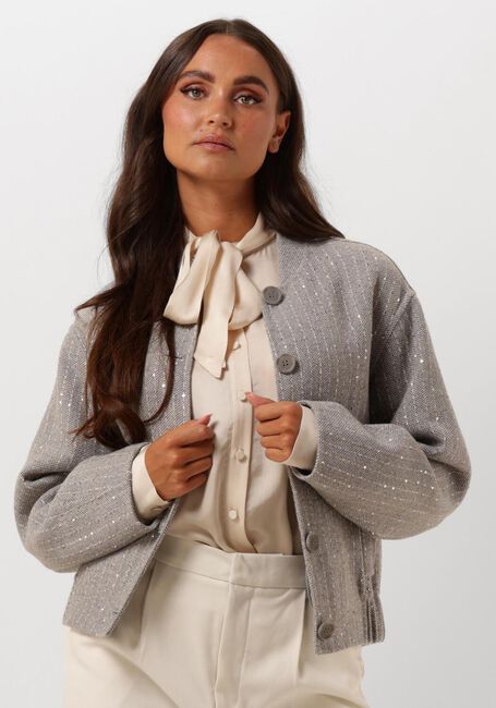 TWINSET MILANO Jack 242TP2051 en gris - large