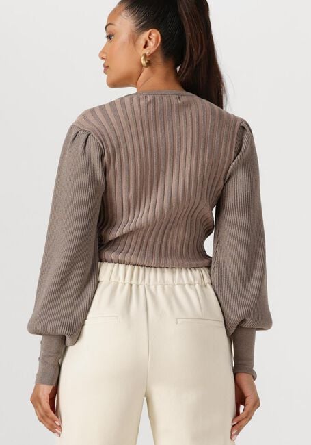 Taupe NUKUS Tops & T-shirts MULBERRY PULLOVER LUREX - large
