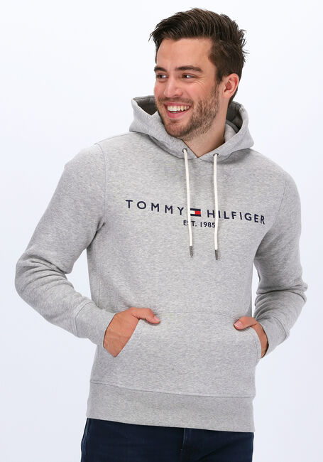 TOMMY HILFIGER Chandail TOMMY LOGO HOODY Gris clair - large