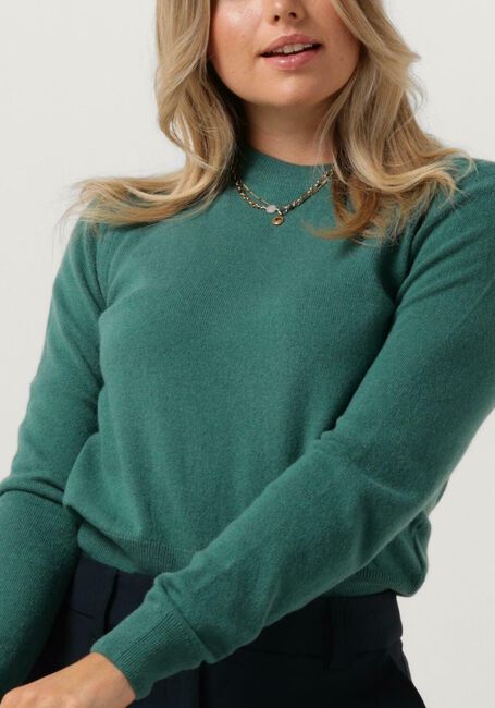 Groene VANILIA Trui MAGNOLIA ROUND NECK - large