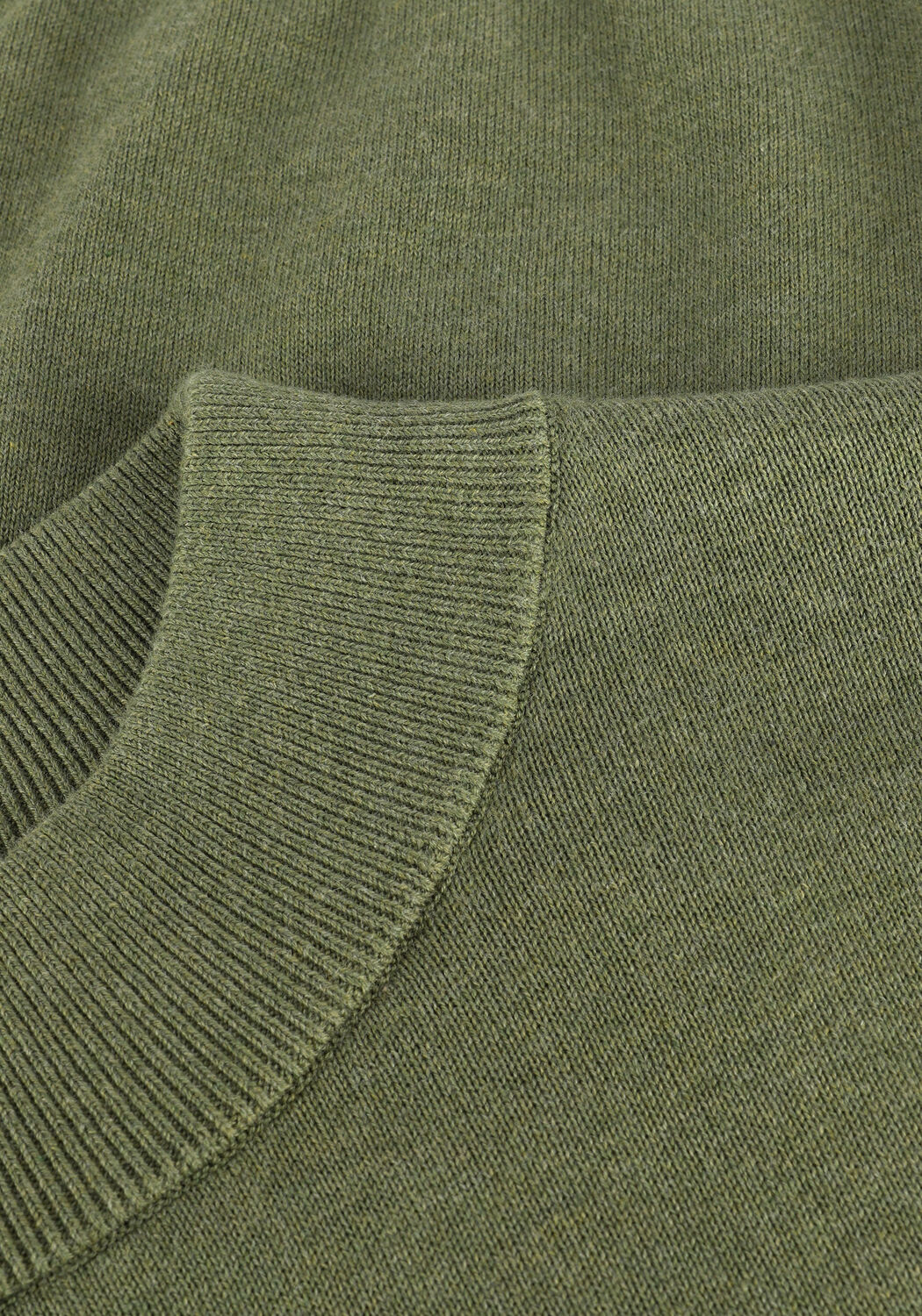 Olijf SAINT STEVE Coltrui COEN - large